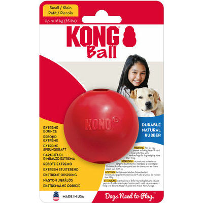 kong dog toys for small dogs